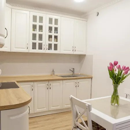Vip- Elite Apartamento Lviv